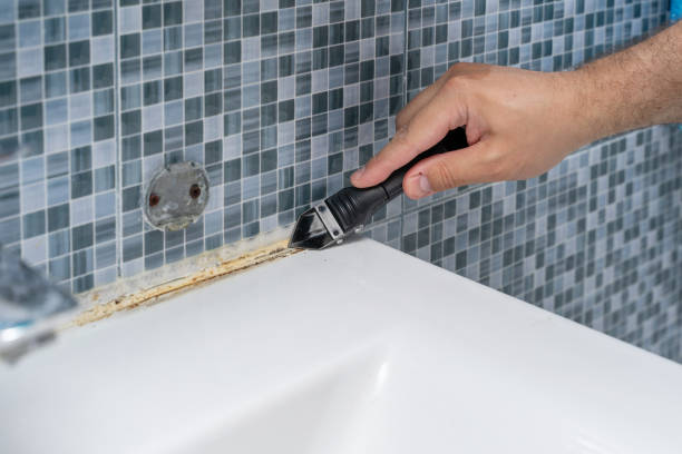 Best Home Mold Removal  in Airy Heights, WA